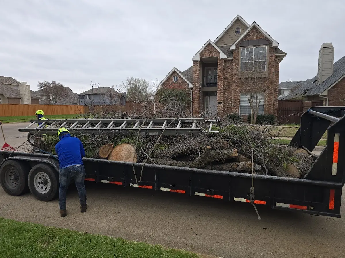 Expert Tree Fertilization with proper safety equipment in Monticello